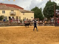 Foto 11 - Valor y destreza en Noviercas: los recortadores triunfan en una tarde de gran riesgo