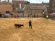 Foto 10 - Valor y destreza en Noviercas: los recortadores triunfan en una tarde de gran riesgo