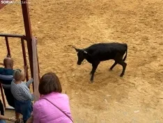 Foto 9 - Valor y destreza en Noviercas: los recortadores triunfan en una tarde de gran riesgo