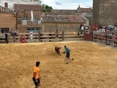 Foto 16 - Valor y destreza en Noviercas: los recortadores triunfan en una tarde de gran riesgo