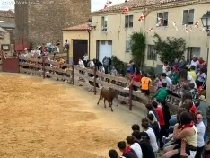 Foto 14 - Valor y destreza en Noviercas: los recortadores triunfan en una tarde de gran riesgo
