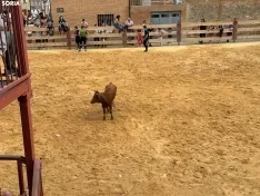 Foto 15 - Valor y destreza en Noviercas: los recortadores triunfan en una tarde de gran riesgo