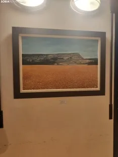 Foto 18 - Arte y talento local brillan en la exposici&oacute;n colectiva de Carbonera de Frentes