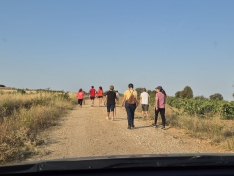 Una imagen de la jornada /VVAA