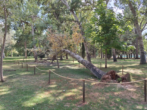 Almazán cierra su verano ambiental con talleres y 27 kg de basura recogida