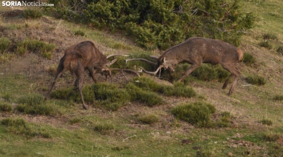Valdeavellano de Tera acoge un curso sobre buenas prácticas rurales