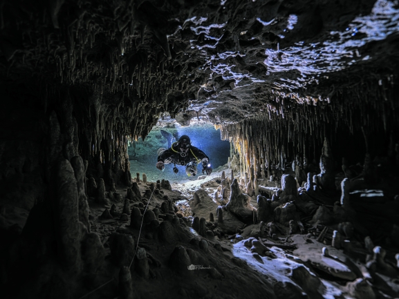 En las profundidades del océano