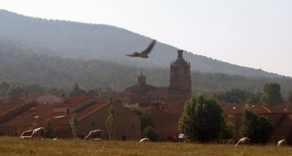 Soria varioPinta 2025: El Royo acoge el arte de 19 creadores