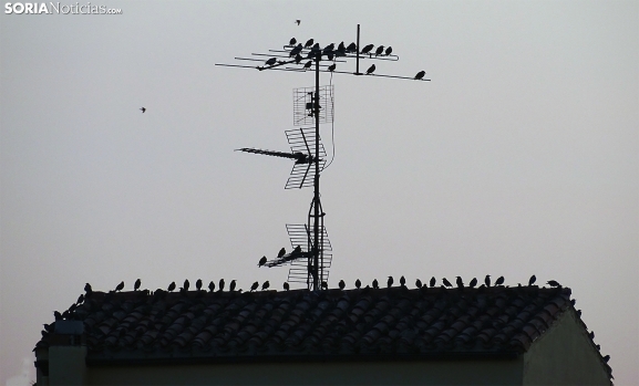 Mañana fresca y tarde agradable para el último viernes de agosto en Soria