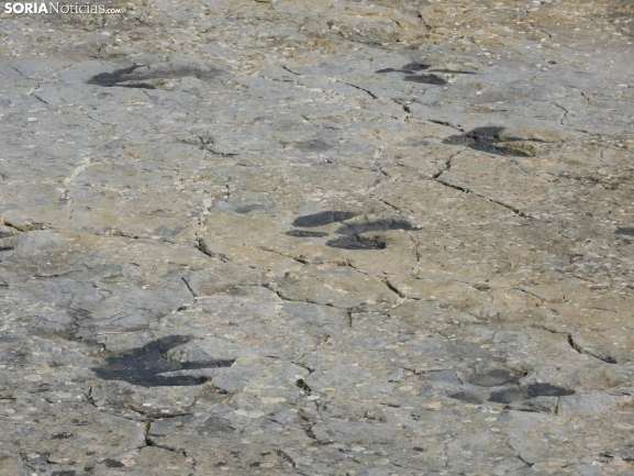 Dónde ver huellas de dinosaurio en Soria