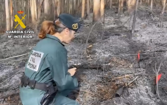 Investigado por un incendio en León que arrasó 130 hectáreas