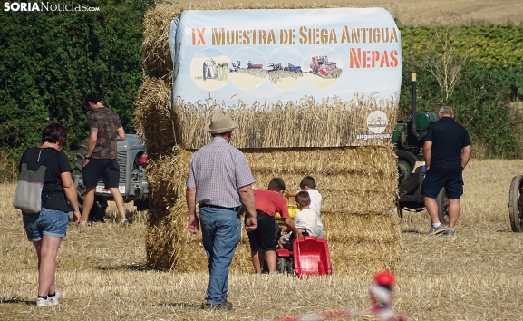 CRÓNICA Y FOTOS | Nepas viaja al pasado con la Siega Antigua: de la recolección a mano a los tractores restaurados