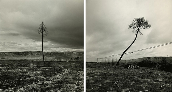 Izana: 25 años del gran incendio