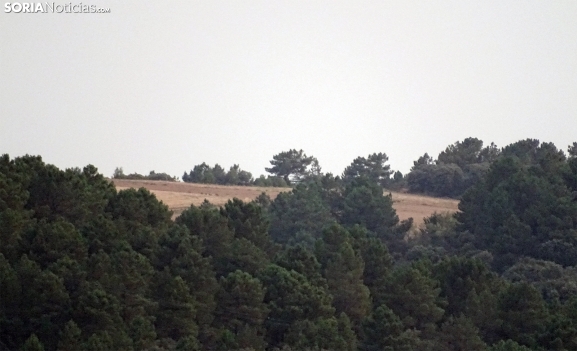 Subida de las máximas y las mínimas se mantienen