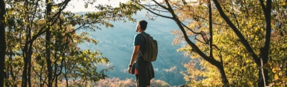 Formación gratuita en Soria para emprender en el sector forestal