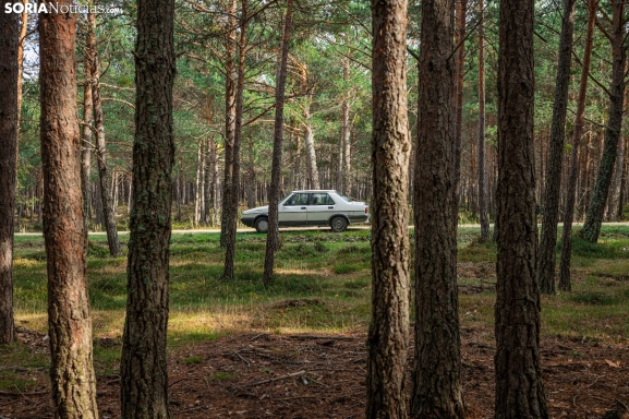 Estos tres pueblos de Soria perfilan su proyecto piloto de taxi subvencionado para sus vecinos