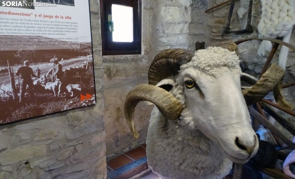 Diputación de Soria: ayudas de 30.000€ para museos y salas