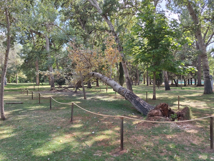 Almaz&aacute;n cierra su verano ambiental con talleres y 27 kg de basura recogida