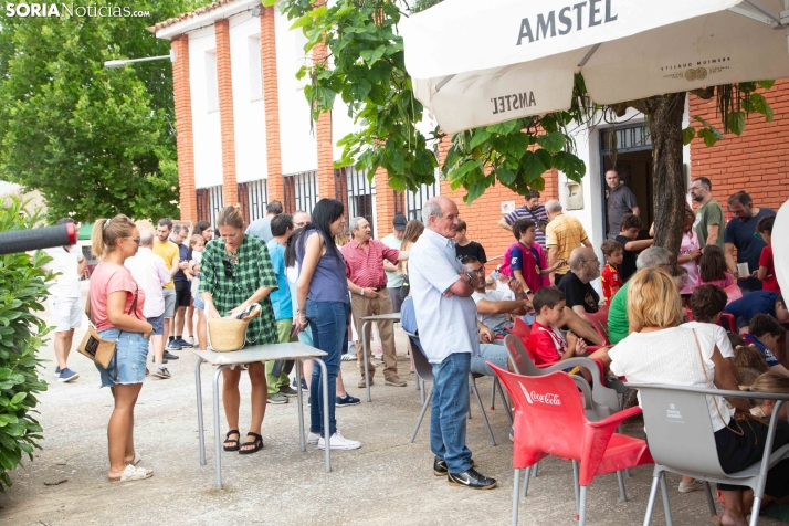 Carrera de caracoles de Peroniel