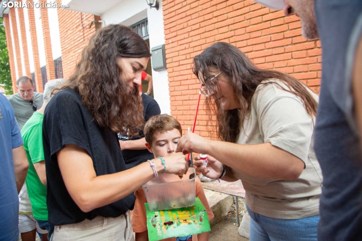 Carrera de caracoles de Peroniel