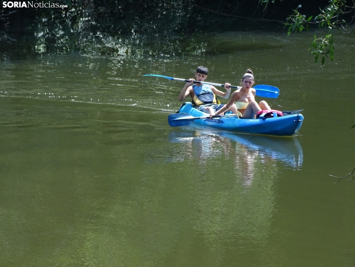 Imagen de las orillas del Duero este 14 de agosto. /PC