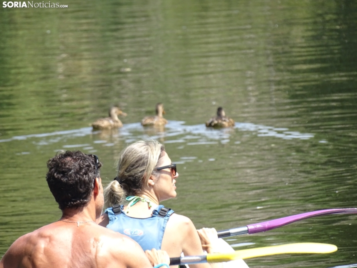 Imagen de las orillas del Duero este 14 de agosto. /PC