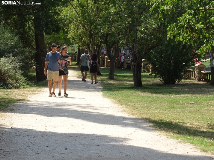 Imagen de las orillas del Duero este 14 de agosto. /PC