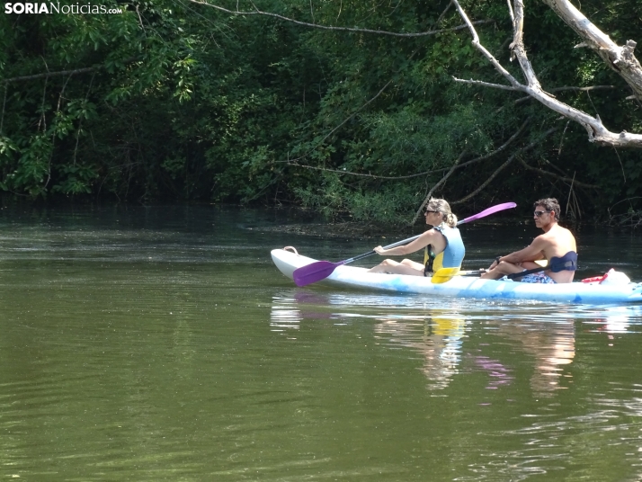 Imagen de las orillas del Duero este 14 de agosto. /PC