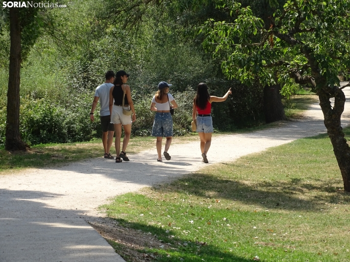 Imagen de las orillas del Duero este 14 de agosto. /PC