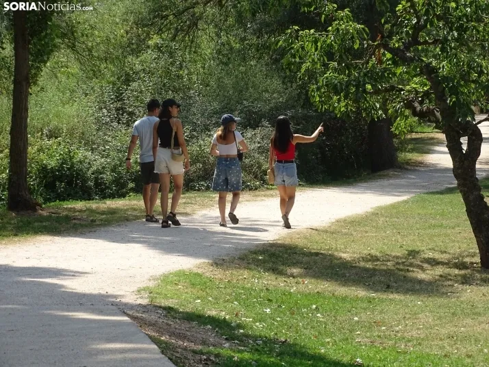 Imagen de las orillas del Duero este 14 de agosto. /PC