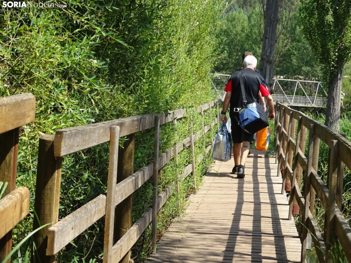 Imagen de las orillas del Duero este 14 de agosto. /PC