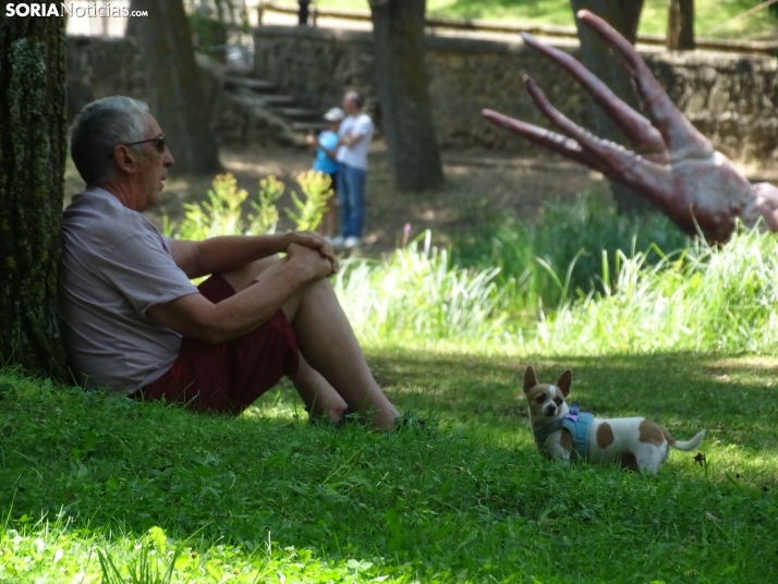 Imagen de las orillas del Duero este 14 de agosto. /PC
