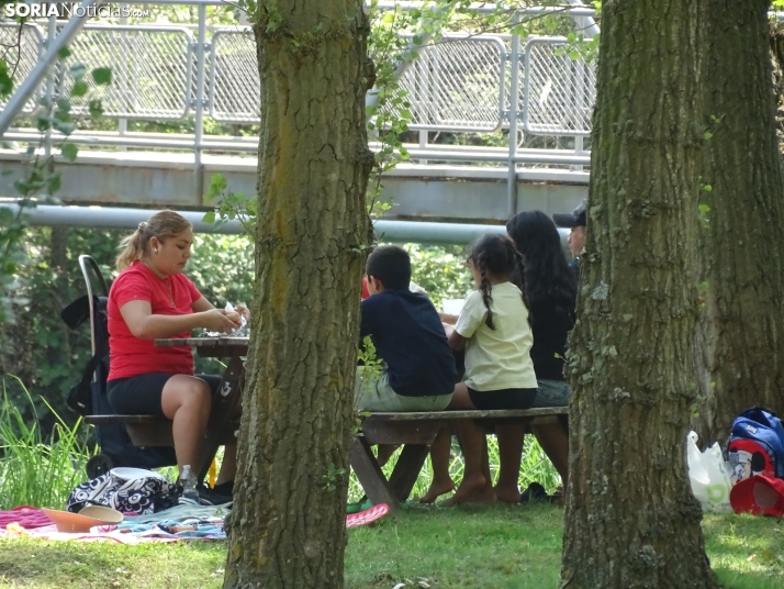 Imagen de las orillas del Duero este 14 de agosto. /PC