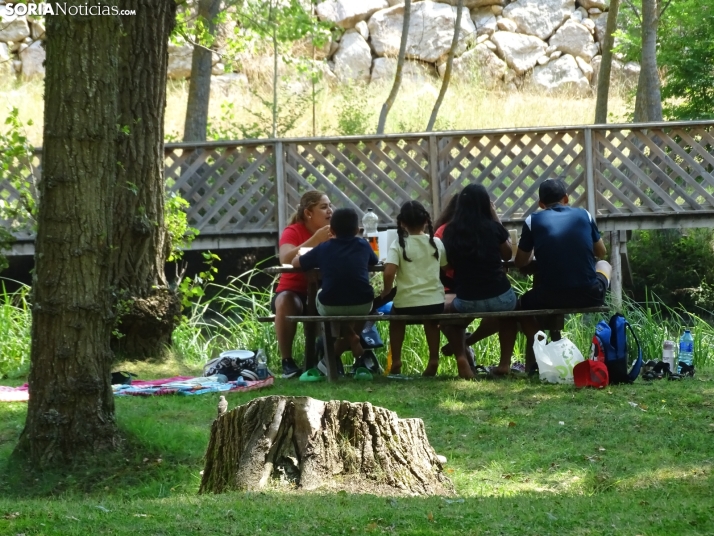 Imagen de las orillas del Duero este 14 de agosto. /PC