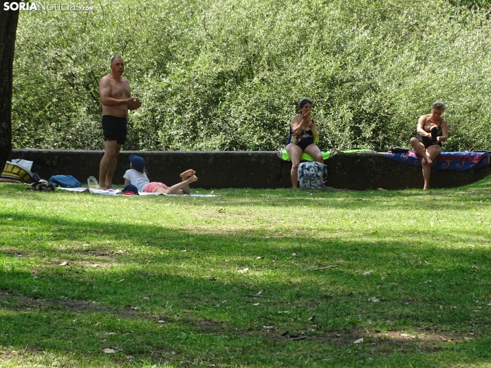 Imagen de las orillas del Duero este 14 de agosto. /PC