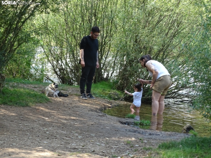 Imagen de las orillas del Duero este 14 de agosto. /PC