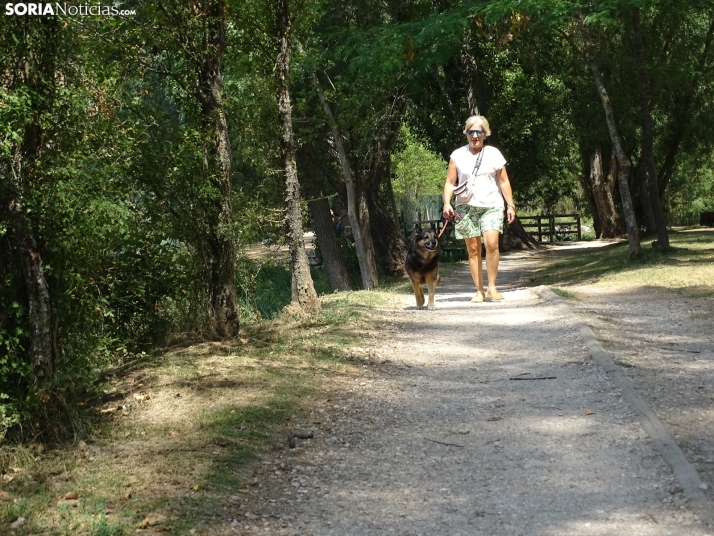 Imagen de las orillas del Duero este 14 de agosto. /PC