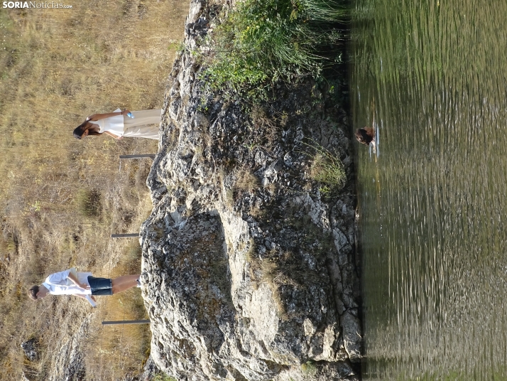Imagen de las orillas del Duero este 14 de agosto. /PC