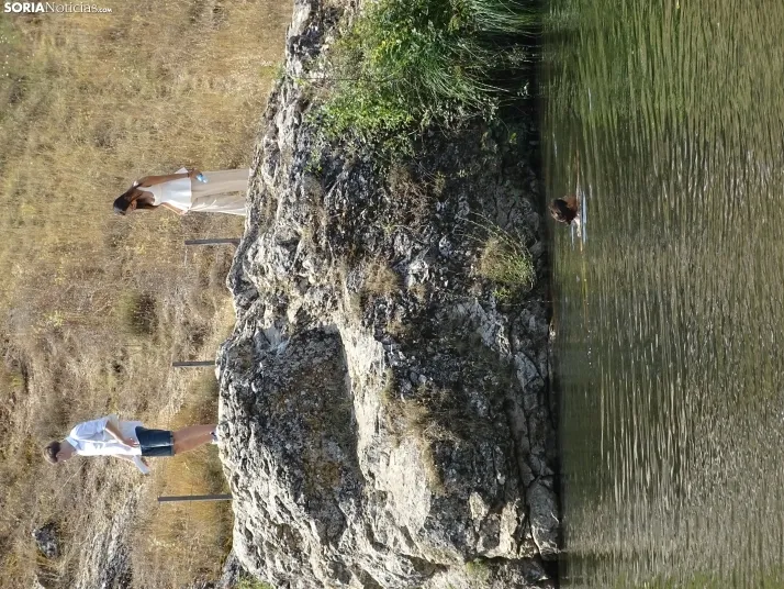 Imagen de las orillas del Duero este 14 de agosto. /PC