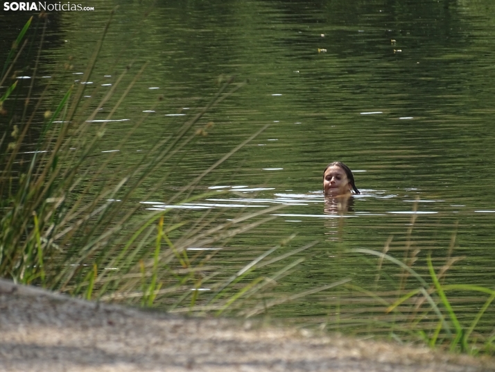 Imagen de las orillas del Duero este 14 de agosto. /PC