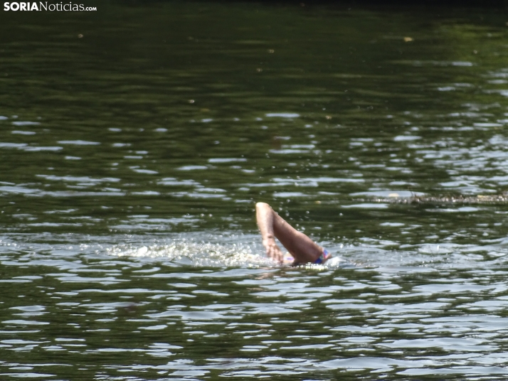 Imagen de las orillas del Duero este 14 de agosto. /PC