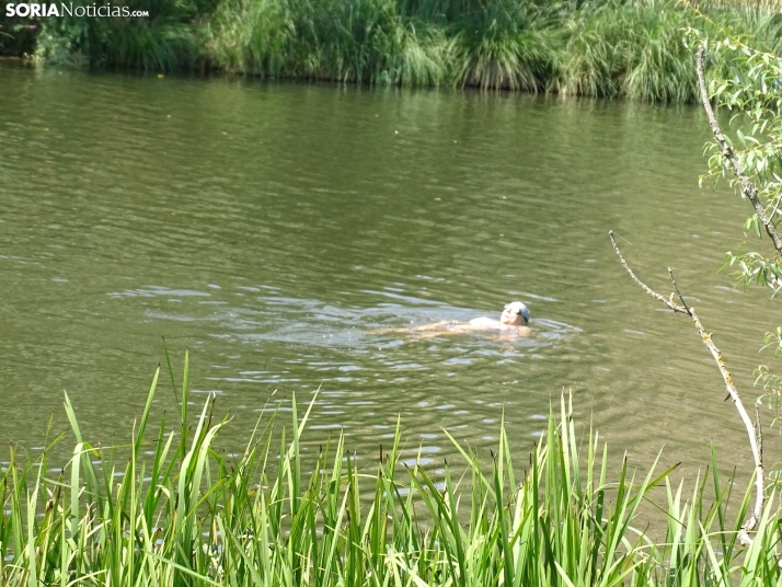 Imagen de las orillas del Duero este 14 de agosto. /PC