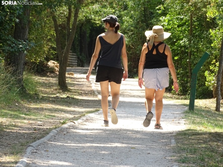Imagen de las orillas del Duero este 14 de agosto. /PC