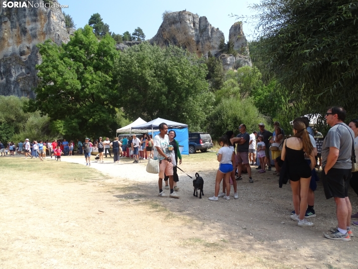 Una imagen de la romería y del entorno del paraje de San Bartolomé, en el cañón del río Lobos. /PC