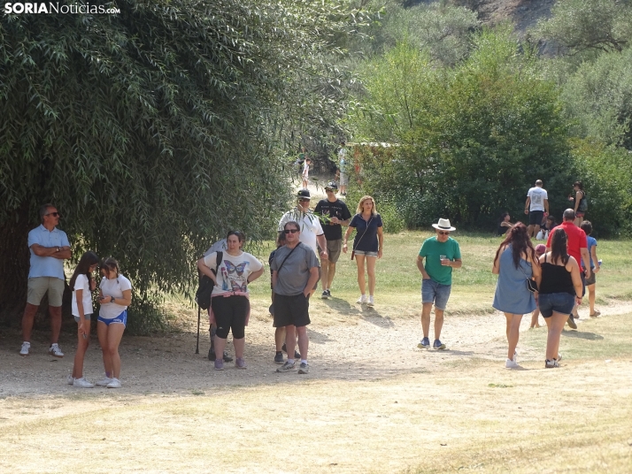 Una imagen de la romería y del entorno del paraje de San Bartolomé, en el cañón del río Lobos. /PC