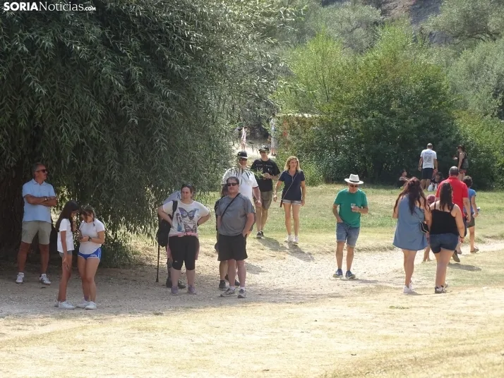 Una imagen de la romería y del entorno del paraje de San Bartolomé, en el cañón del río Lobos. /PC
