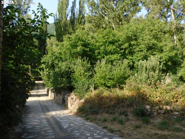 Diustes, Villar del Río