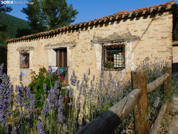 Diustes, Villar del Río