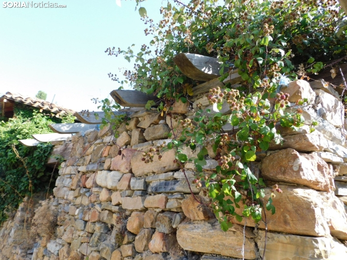 Diustes, Villar del Río