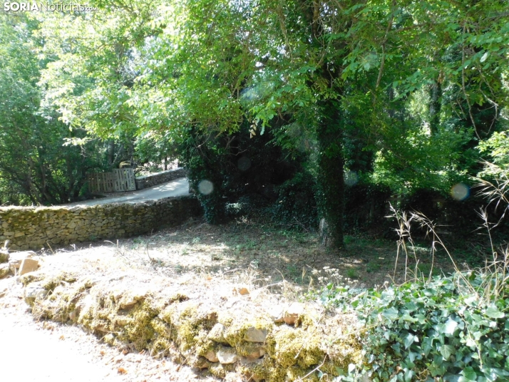 Diustes, Villar del Río